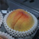 이언농장 이미지