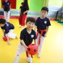 길라잡이태권도장 이미지