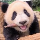 세영산업 이미지