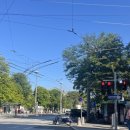 지예민박 이미지