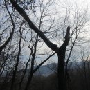 회원동126 이미지