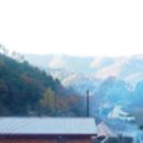예산느티나무캠핑장 이미지