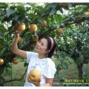 벌교펜션민박 이미지