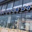 장보는강아지와고양이안양