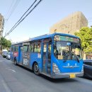 팔공약국 이미지