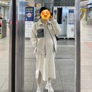 케이나인(K9)호텔 | 임신 35주차 / 막달검사 / 나인트리판교