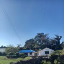 파아란지붕 이미지