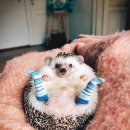 부산수영중학교 이미지