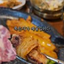 돈박사대패