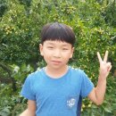 박현수농장 네이버블로그
