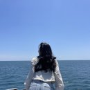 차귀도놀빛바다 | 제주 인생 돌고래를 만난 차귀도 배낚시 '놀빛바다호'