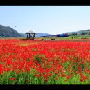 경서대로 이미지