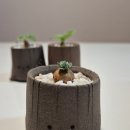 서우 농장 이미지