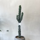 석주농장 이미지