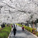 맑고 향기롭게 이미지