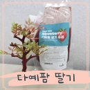 톡톡팜 | 다예팜 딸기퓨레 진짜 딸기라 홈카페 후기
