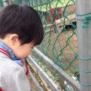 수민농장 이미지