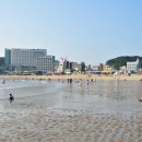 왕산해수욕장 이미지