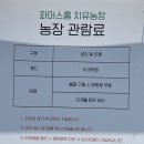 대구 근교 14개월 아기랑 갈만한 동물카페 - 상주 파머스룸