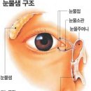 &#39;여자의 눈물&#39;도 중년이후엔 가뭄…&#39;눈마름증 이미지