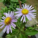 사랑샘공원 이미지