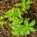 문산그린농약사 이미지