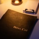 보스캣(BossCat)