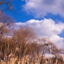 노을공원 이미지