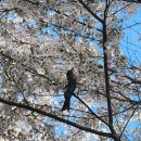 여중사거리 이미지