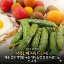 서진농장 | [미식 리포트] 달콤함이 톡톡 터진다! 여수 청정 자연을 품은 '서진농장 햇 완두콩' 1kg 찐 후기