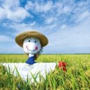 허수아비 이미지