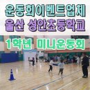 성안초등학교 | 울산운동회이벤트 성안초 미니운동회 체육대회 전문업체 포항