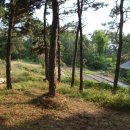 언덕농장 이미지