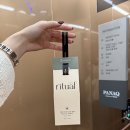 데이지풀빌라 | 영덕 파나크 풀빌라 E동 내돈내산 솔직후기