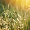 (주)복은 이미지