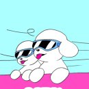 진도끝밭 | 쏠비치 진도 애견 동반 여행 페텔 예약
