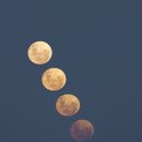 스마트폰&스마트폰활용법 이미지