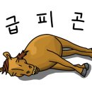 섬1088