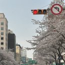 그리고 밥 | [웨딩홀 방문 후기] 더컨벤션 잠실 방문 후기 - 친절함, 주차장 그리고 밥 최고임 진짜 (계약 아쉽게...