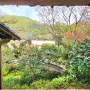 고헌산 "동" 우리소 | 마쓰야마 일일 유유버스투어 두번째 장소 오즈 가류산장과 반센소