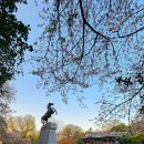 죽도봉화장실 이미지