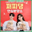 더펫샵 | 보령펫샵 꼼꼼하게 알아보고 결정한 후기