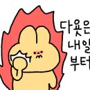 갯가장어탕