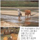 영주청구리입석 이미지