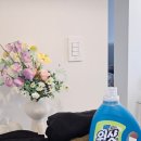 세탁의 신 | 슈가버블버블원샷더블액션 써보니 만족스러웠던 실내건조세탁세제 세탁세제추천 후기