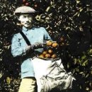 박용만 농장 이미지