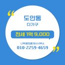 나무공인중개사사무소 이미지