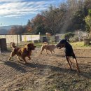 푼타하우스 이미지