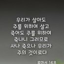 비젼스쿨 Daum카페