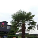 JNJ빌리지 이미지